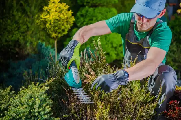landscaping services Meyers Lake